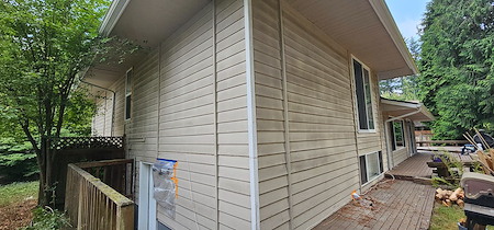 Moss and Algae Growth in Everett: How Pressure Washing Protects Your Home