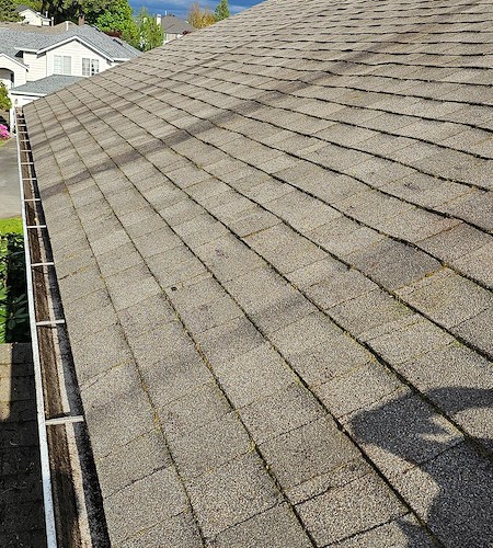 Why January Is a Good Time for Gutter Cleaning and Exterior Touch Ups