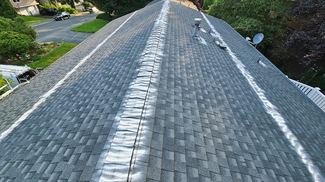Best Roof Cleaning in Kirkland, WA
