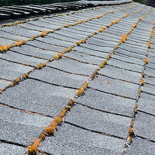 Best-Roof-Cleaning-in-Kirkland-WA 1