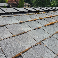 Best-Roof-Cleaning-in-Kirkland-WA 0