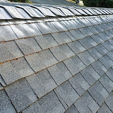 Best-Roof-Cleaning-in-Kirkland-WA 8