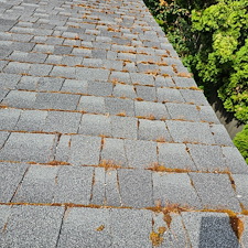Best-Roof-Cleaning-in-Kirkland-WA 4