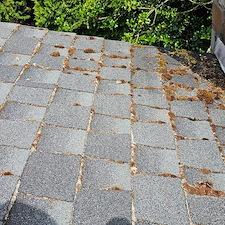 Best-Roof-Cleaning-in-Kirkland-WA 3