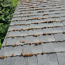 Best-Roof-Cleaning-in-Kirkland-WA 2