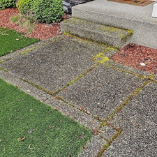 DRIVEWAY-CLEANING-IN-BOTHELL-WA 5