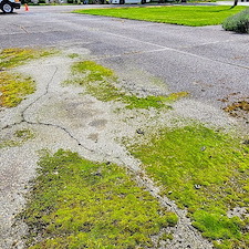 DRIVEWAY-CLEANING-IN-MARYSVILLE-WA-1 6