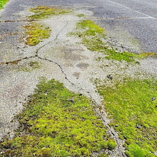DRIVEWAY-CLEANING-IN-MARYSVILLE-WA-1 5