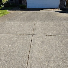 DRIVEWAY-CLEANING-IN-MONROE-WA-1 1
