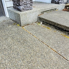 HOUSE-WASHING-IN-BOTHELL-WA 11