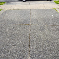 HOUSE-WASHING-IN-BOTHELL-WA 8
