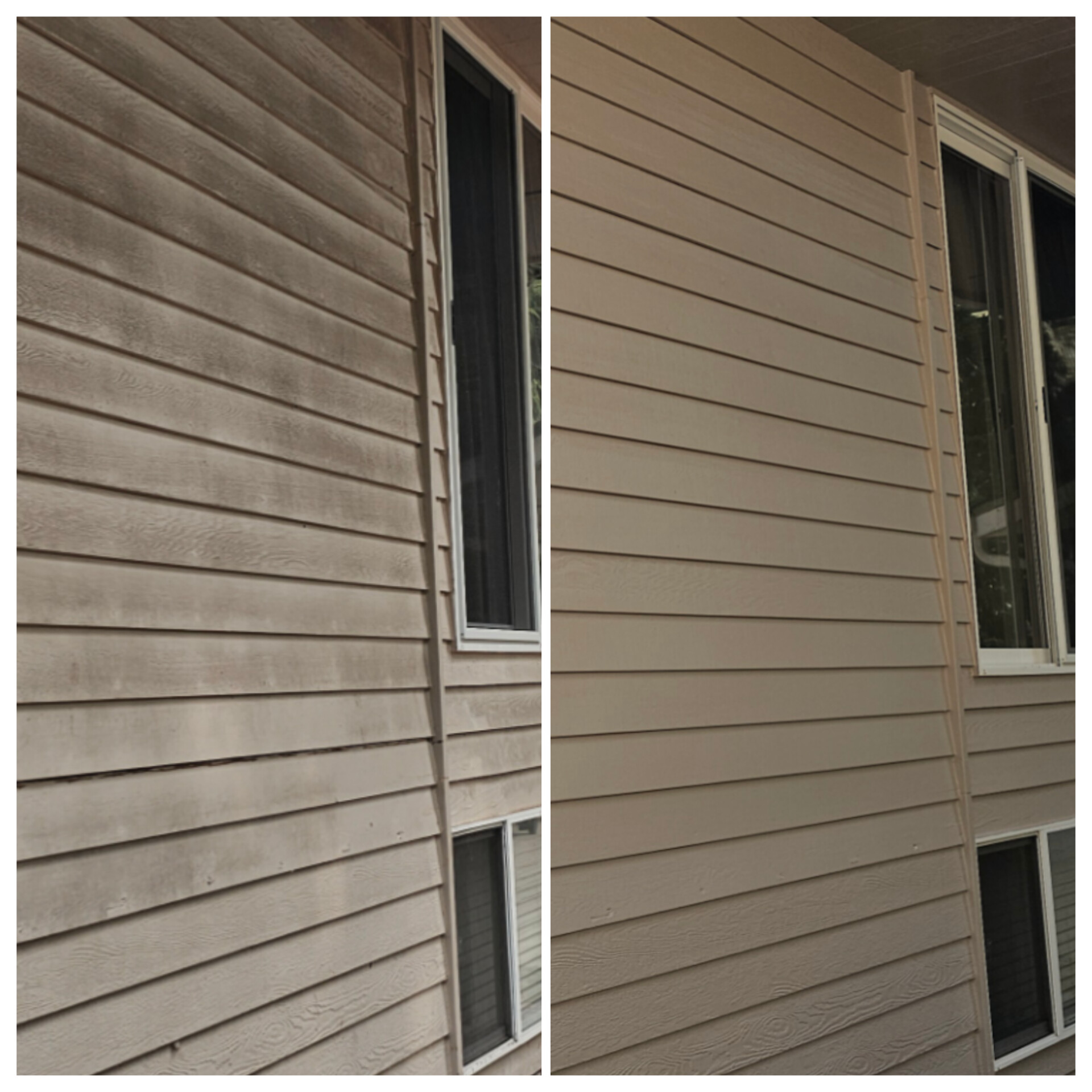 LOW-PRESSURE HOUSE WASH IN MARYSVILLE, WA