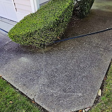 PROFESSIONAL-DRIVEWAY-CLEANING-AND-PRESSURE-WASHING-IN-LYNNWOOD-WA 8