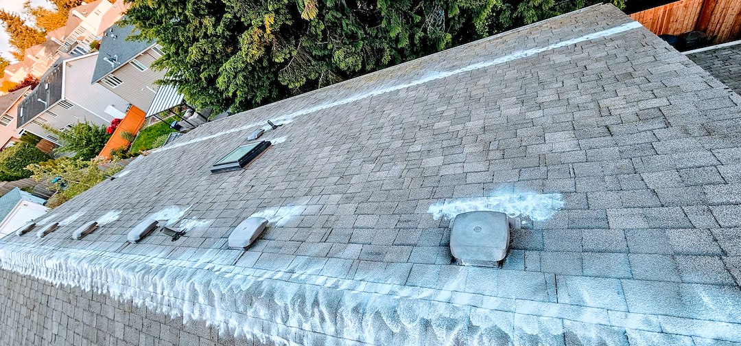 ROOF CLEANING IN LYNNWOOD, WA