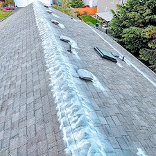 ROOF-CLEANING-IN-LYNNWOOD-WA 3