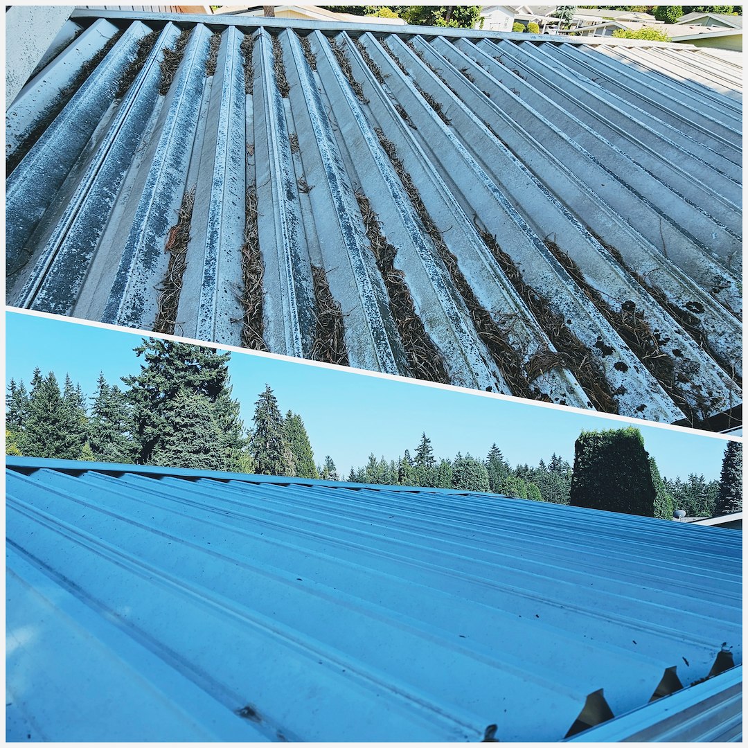 SOFT-WASH ROOF CLEANING IN BOTHELL, WA