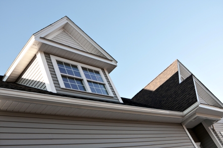 Gutter Cleaning