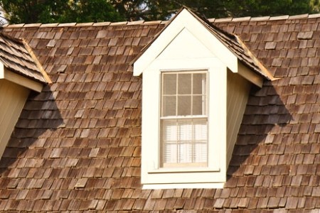 Roof Cleaning